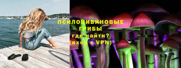 spice Карталы