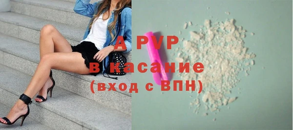 mdpv Каменногорск
