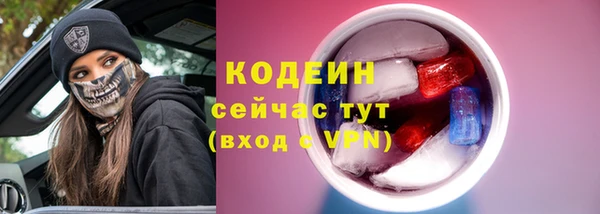 прущие грибы Карпинск