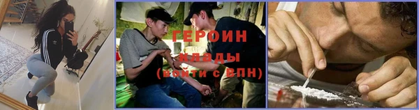 прущие грибы Карпинск