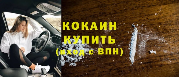 прущие грибы Карпинск