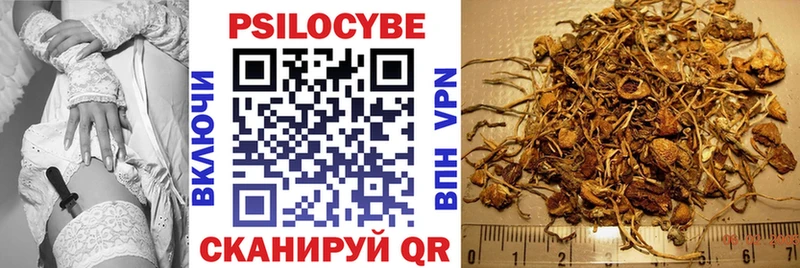 Галлюциногенные грибы Psilocybe  Купить где  Старая Купавна 